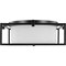 Progress Lighting Chadwick Collection Two-Light Black 15-3/8" Flush Mount P350171-031 - alternate 5